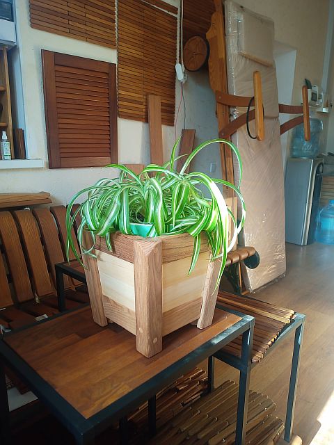 Наши работы