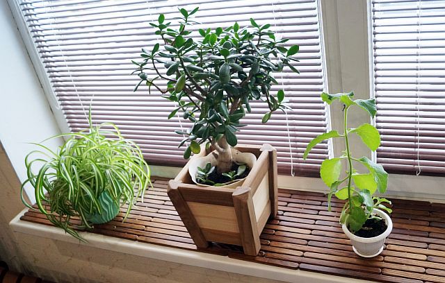 Наши работы