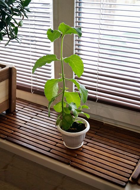 Наши работы